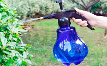 Test insecticida natural NK ONE insecticida