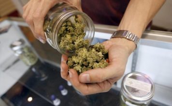 Marihuana Terapéutica – Guía y variedades medicinal