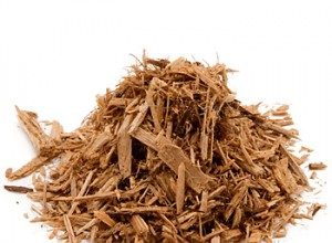 Cómo cultivar Marihuana en fibra de Coco fibra-de-coco
