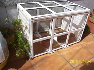 como cultivar marihuana en invierno foto de invernadero casero