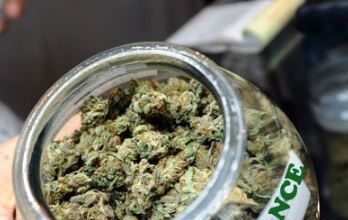 La explosión de las tiendas de cannabis light en Francia