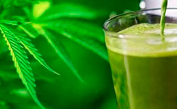 Cómo hacer leche de Marihuana vaso de leche de marihuana