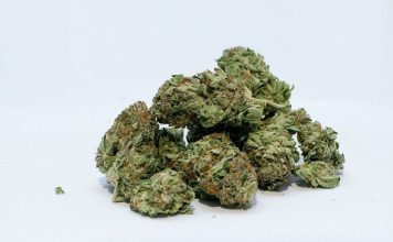 como secar marihuana