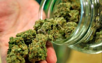 Las 5 mejores marihuanas para interior mejores marihuanas para interior