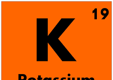 Carencia de potasio en las plantas carencia de potasio en las plantas