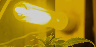 ¿Qué es la iluminación HPS o luz de sodio? Luces de sodio de alta presión