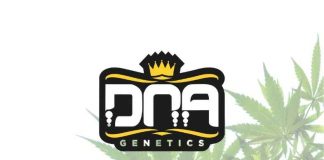 DNA Genetics dna genetics