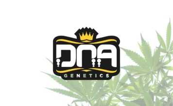 dna genetics