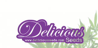 Delicious Seeds delicious seeds