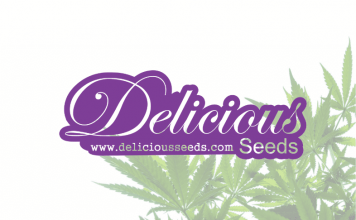 Delicious Seeds delicious seeds