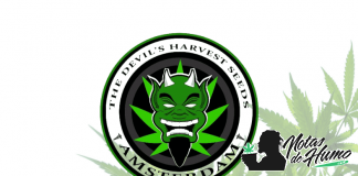 Devil’s Harvest Seeds devil's harvest seeds