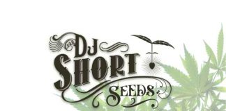 Dj Short dj short