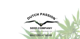 Dutch Passion dutch passion