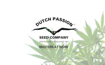 Dutch Passion dutch passion