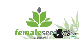 Female Seeds female seeds