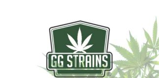 gg strains