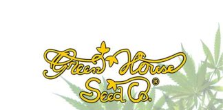 Green House Seeds green house seeds