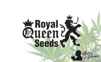 Royal Queen Seeds royal queen seeds