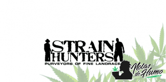 Strain Hunters Seeds strain hunters seeds