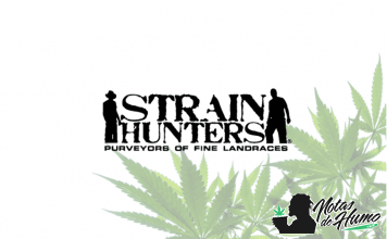 Strain Hunters Seeds strain hunters seeds