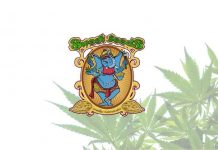 Sweet Seeds sweet seeds