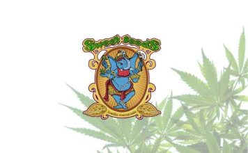 Sweet Seeds sweet seeds