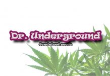 dr. underground seeds