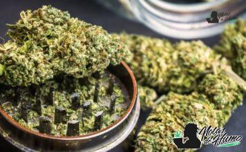 Super Skunk de Sensi Seeds