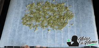 ¿Qué es y cómo se hace la descarboxilación de la marihuana? que es y como se hace la descarboxilacion de la marihuana