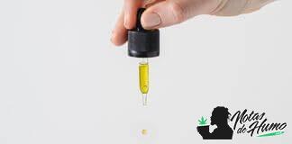 ¿Cómo usar terpenos en cogollos? Cómo usar terpenos en cogollos