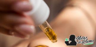 Aceite de cannabis para el dolor aceite de cannabis para el dolor