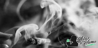 ¿Cuánto dura la marihuana en el cuerpo? Cuánto dura la marihuana en el cuerpo