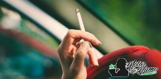 ¿Cómo afecta el cannabis a la conducción? Cómo afecta el cannabis a la conducción