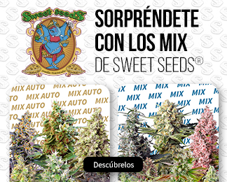Auto Sweet Seeds