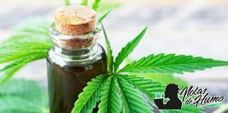 Beneficios del aceite de THC Beneficios del aceite de THC