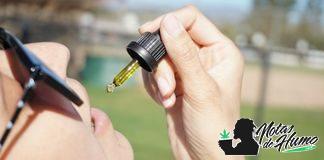 ¿Cuánto dura el CBD en el organismo? Cánto dura el CBD en el organismo