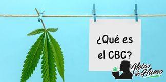 Cannabicromeno. ¿Qué es el CBC? Cannabicromeno qué es el CBC