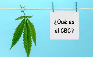 Cannabicromeno. ¿Qué es el CBC? Cannabicromeno qué es el CBC