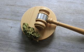 Legalización del cannabis en paises del mundo