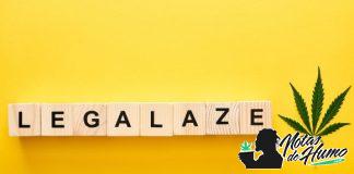 Legalización del cannabis: países en los que se permite su consumo y cultivo (actualizado 2023) Legalización del cannabis paises en los que se permite el consumo y plantación