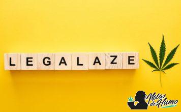 Legalización del cannabis: países en los que se permite su consumo y cultivo (actualizado 2023) Legalización del cannabis paises en los que se permite el consumo y plantación
