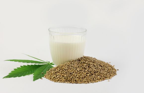 que tipo de cannabis usar para hacer leche de marihuana Qué tipo de cannabis usar para hacer leche de marihuana