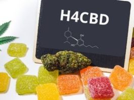 H4CBD ¿qué es, cómo se consigue y qué efectos tiene? H4CBD ¿qué es, cómo se consigue y qué efectos tiene?