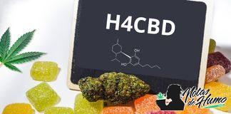 H4CBD ¿qué es, cómo se consigue y qué efectos tiene?