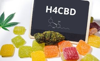 H4CBD ¿qué es, cómo se consigue y qué efectos tiene? H4CBD ¿qué es, cómo se consigue y qué efectos tiene?