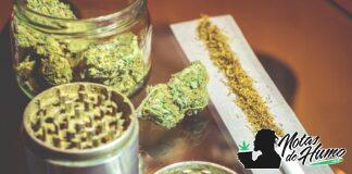 ¿Cuáles son los mejores clubs de cannabis en Barcelona, España? clubs de cannabis