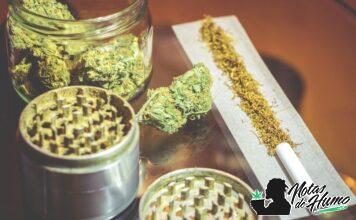 ¿Cuáles son los mejores clubs de cannabis en Barcelona, España? clubs de cannabis