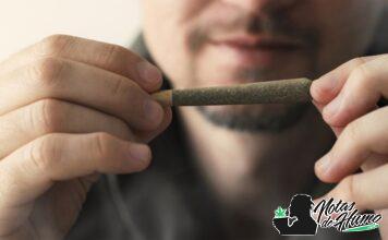 Cómo liar un porro perfecto: guía para principiantes liar un porro