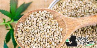 propiedades de las semillas de cáñamo