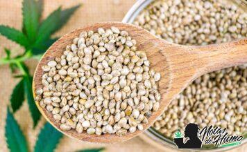 propiedades de las semillas de cáñamo